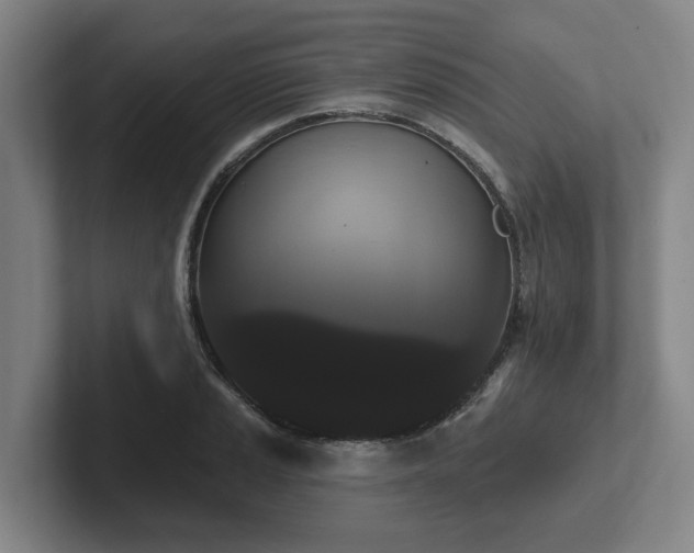 X0000102001037200807251242