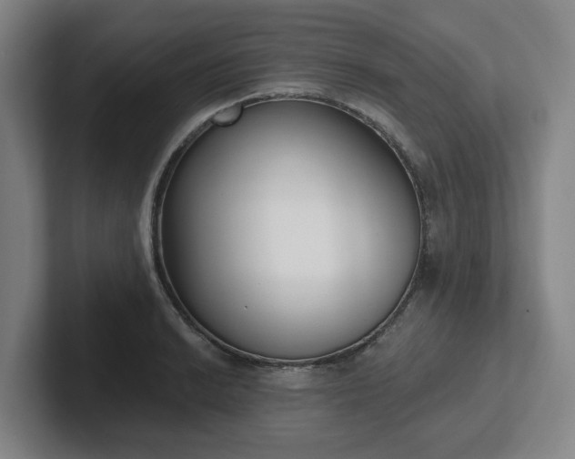 X0000102001038200807251242