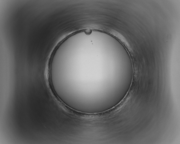 X0000102001040200807251242