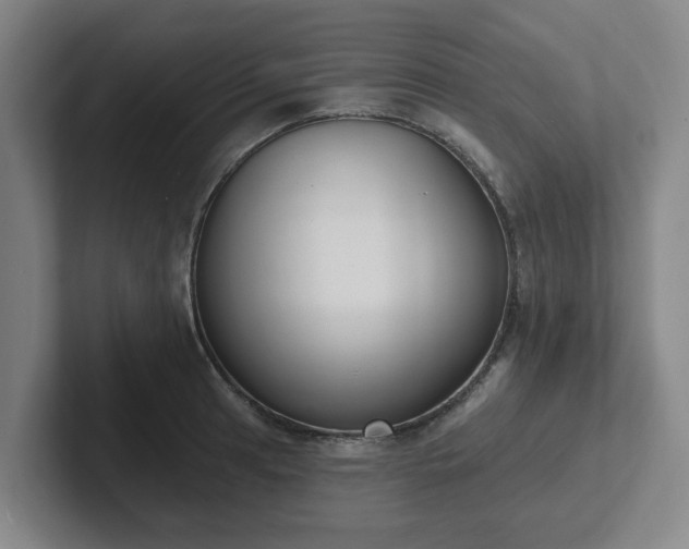 X0000102001041200807251242