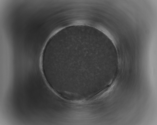 X0000102001045200807251242