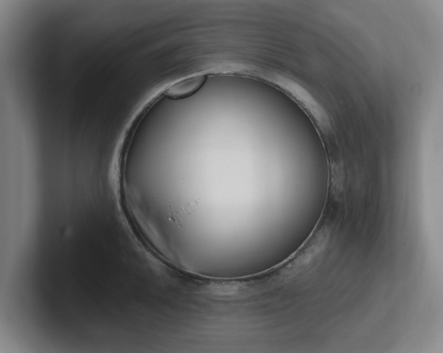 X0000102001046200807251242