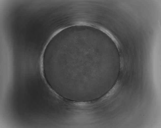 X0000102001048200807251242