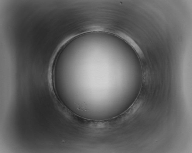 X0000102001051200807251242