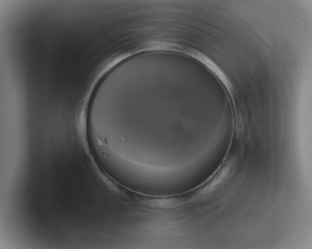 X0000102001053200807251242