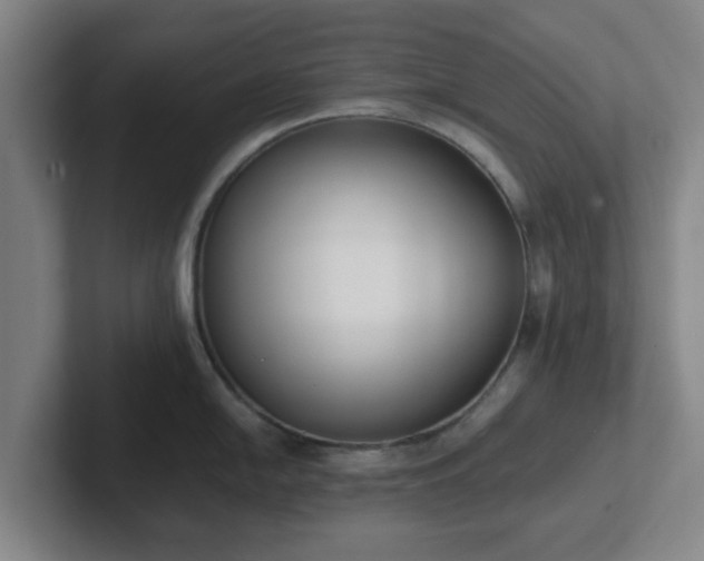 X0000102001054200807251242