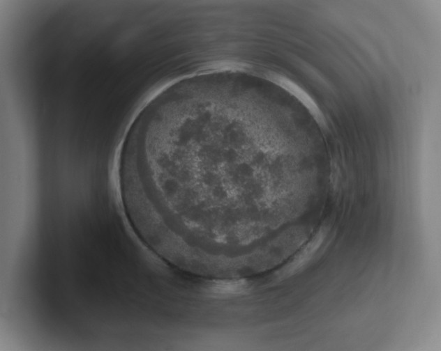 X0000102001055200807251242