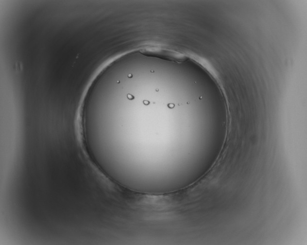 X0000102001056200807251242