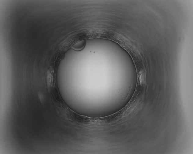 X0000102001059200807251241