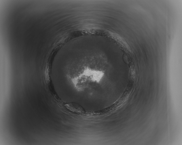 X0000102001060200807251241