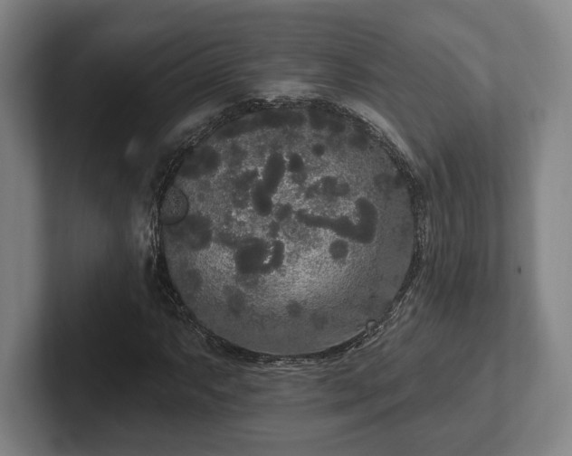 X0000102001063200807251241