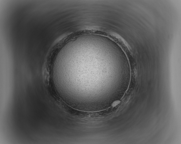 X0000102001064200807251241