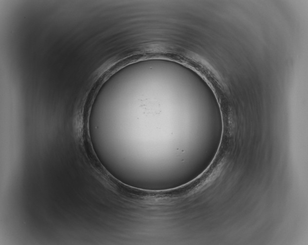 X0000102001065200807251241