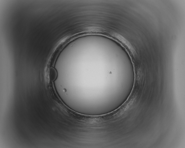 X0000102001067200807251241