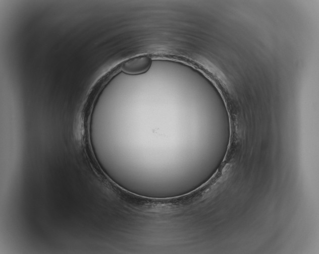 X0000102001070200807251241