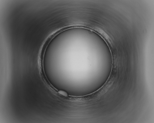 X0000102001072200807251241