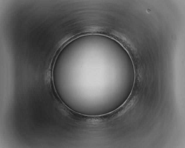 X0000102001073200807251241