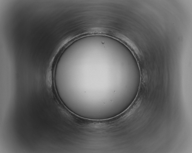 X0000102001075200807251241