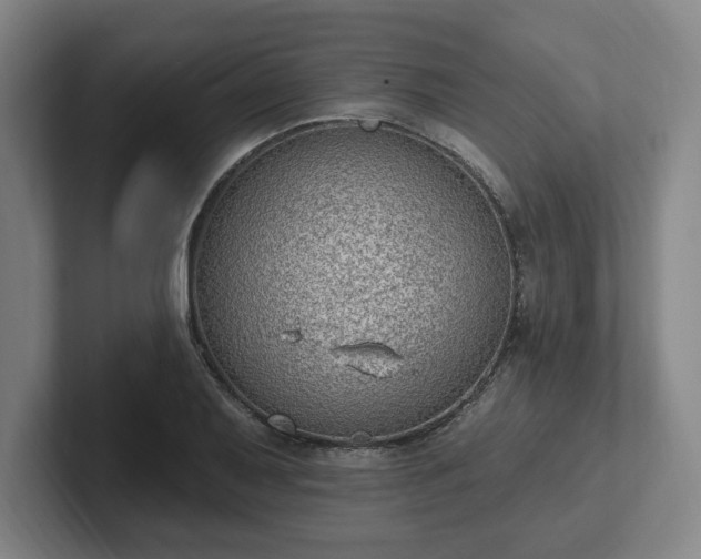 X0000102001079200807251241