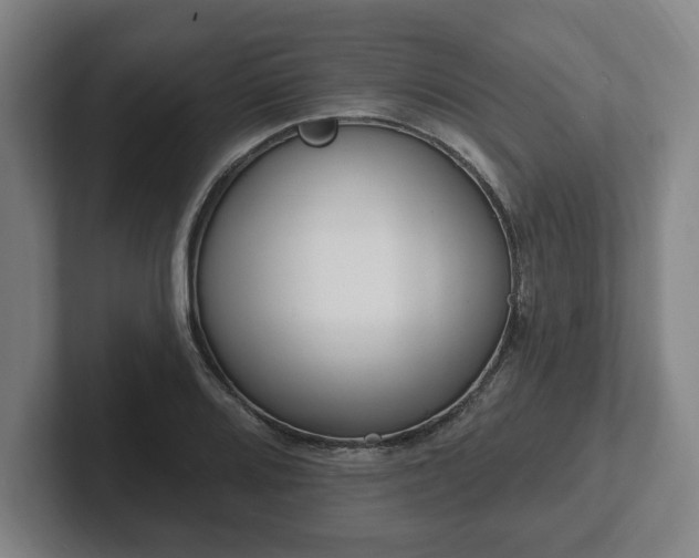 X0000102001080200807251241