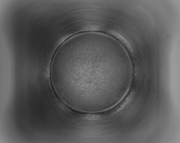 X0000102001081200807251241