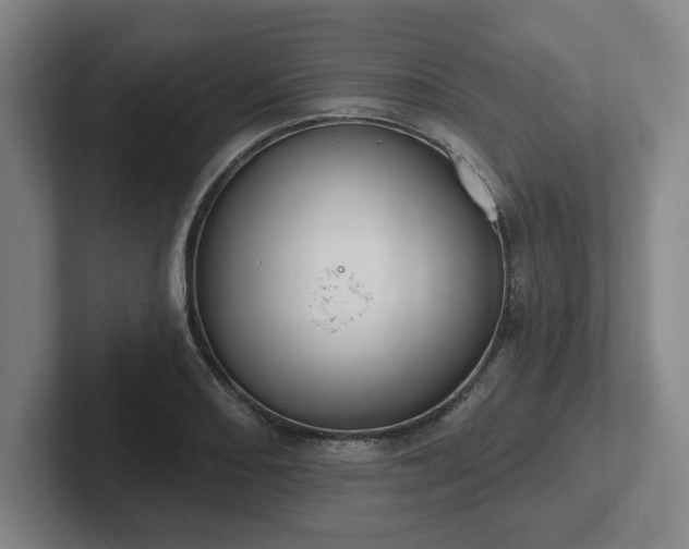 X0000102001082200807251241