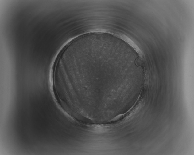 X0000102001084200807251241