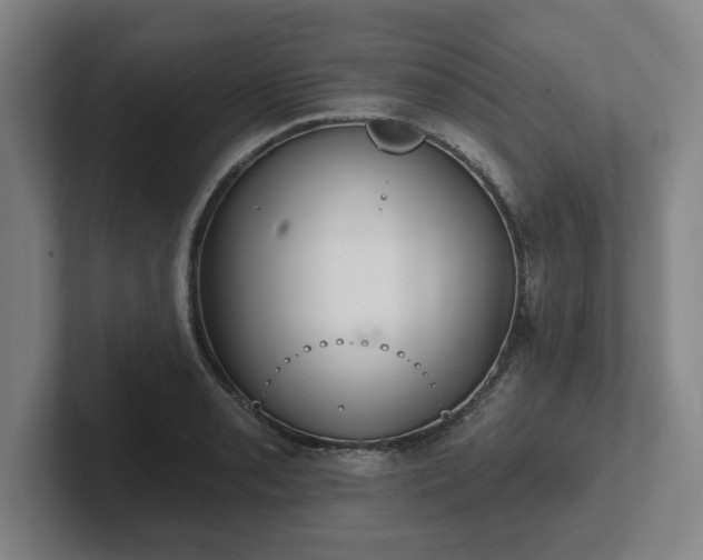 X0000102001085200807251241