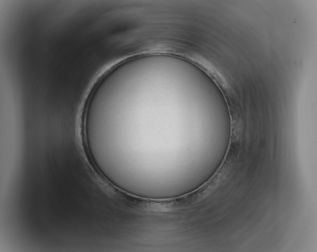 X0000102001086200807251241