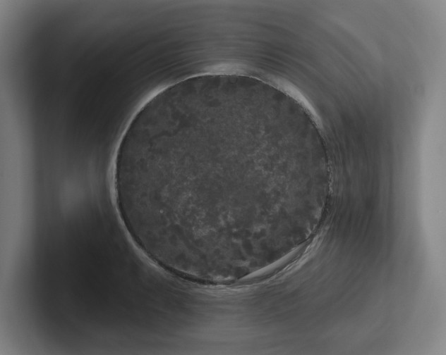 X0000102001087200807251241