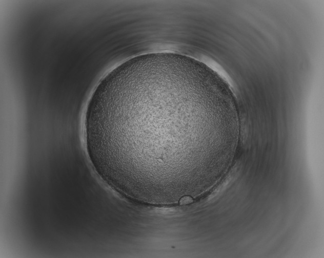 X0000102001088200807251241