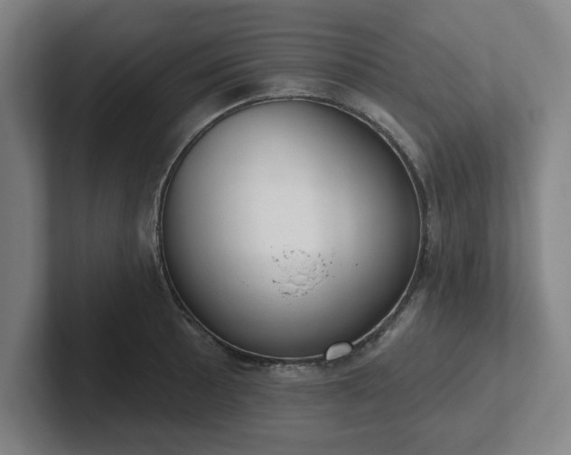 X0000102001089200807251241