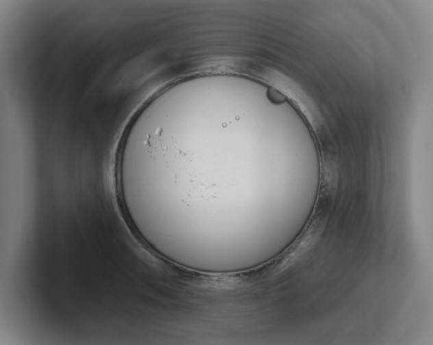 X0000102001090200807251241