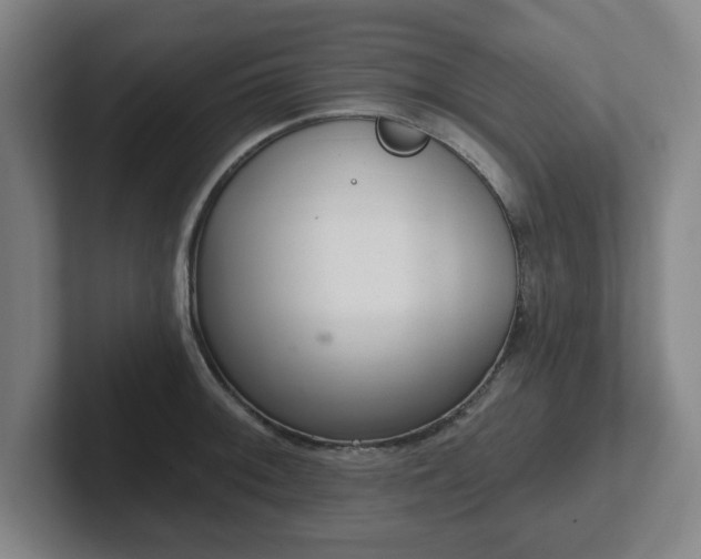 X0000102001092200807251241