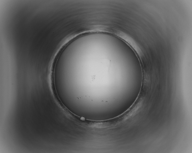 X0000102001093200807251241