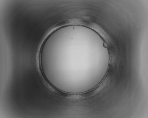 X0000102001094200807251241