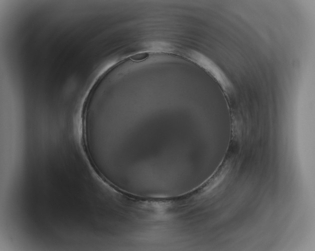 X0000102001095200807251241