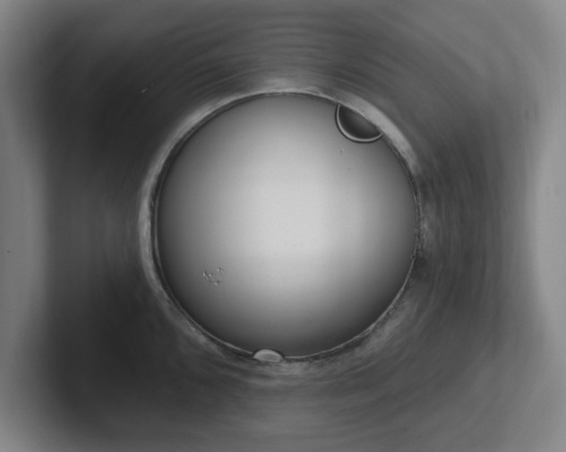 X0000102001096200807251241