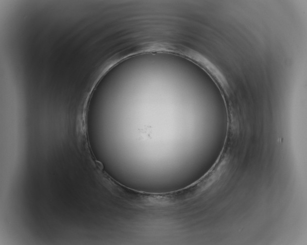 X0000102001097200807251241