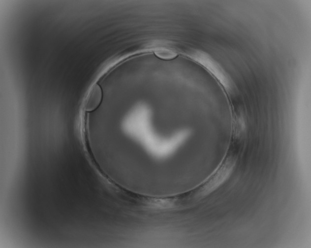 X0000102001101200807251241