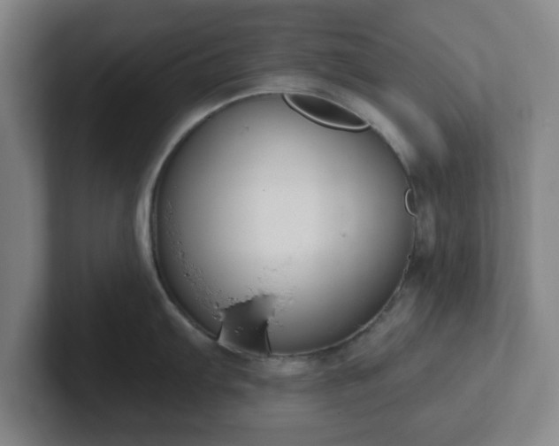 X0000102001103200807251241