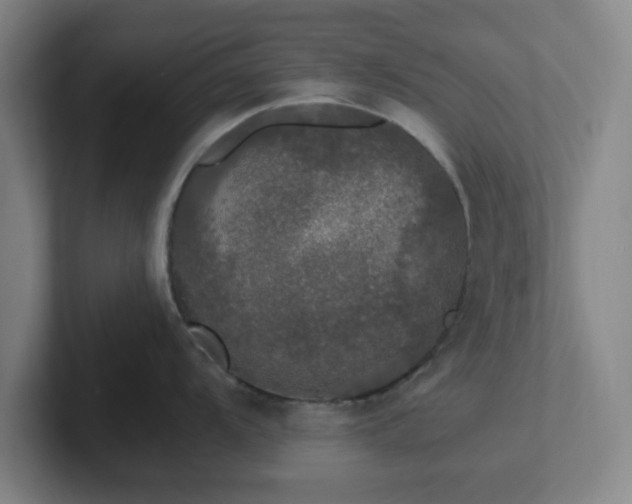 X0000102001104200807251241