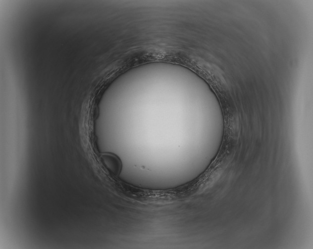 X0000102001105200807251240