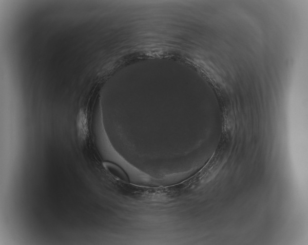 X0000102001106200807251240