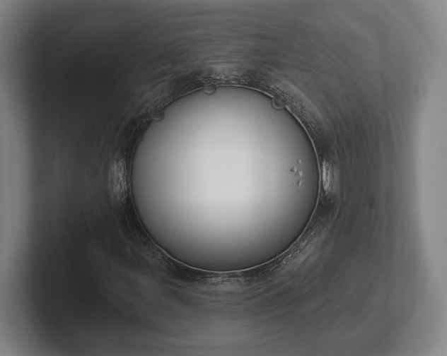 X0000102001107200807251240