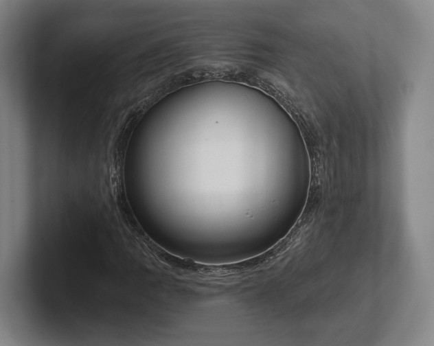 X0000102001109200807251240