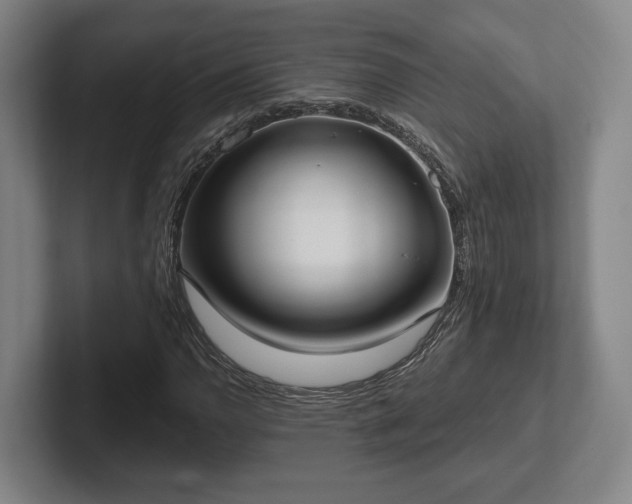 X0000102001110200807251240