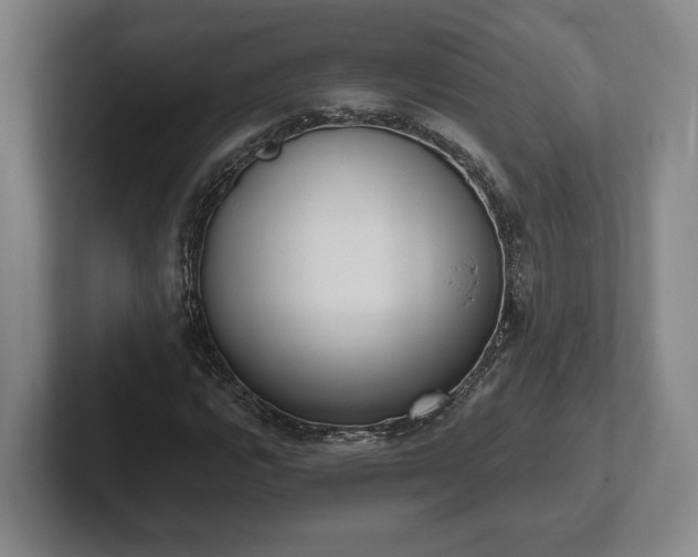 X0000102001112200807251240