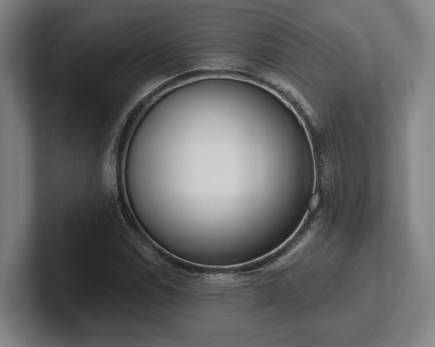 X0000102001114200807251240