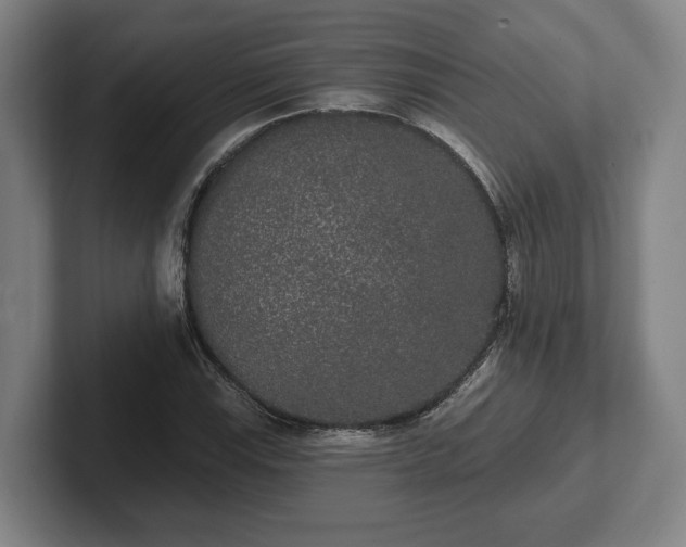 X0000102001115200807251240